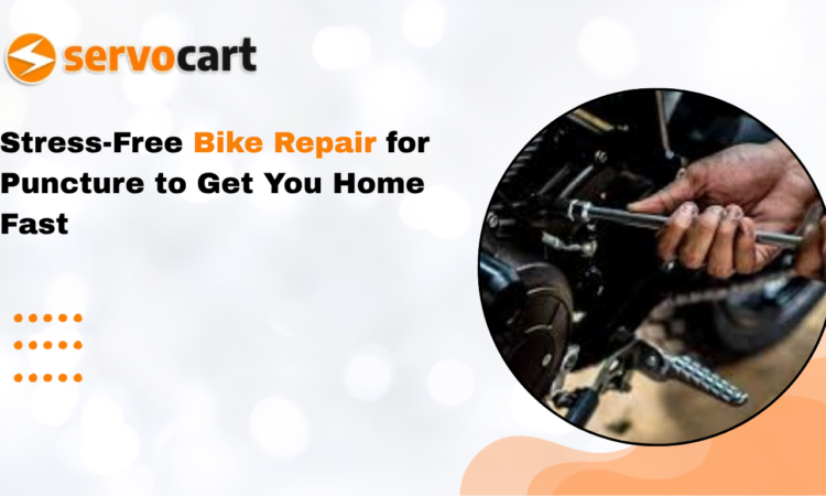 Bike Repair
