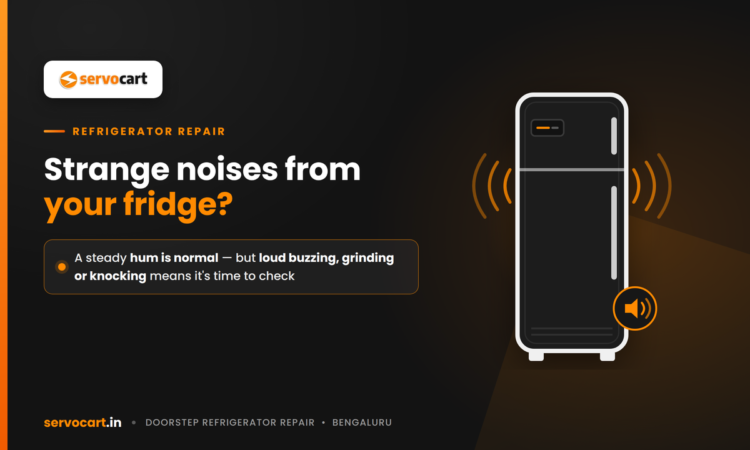 Strange Fridge Noises? A Refrigerator Repair Guide for Your Home