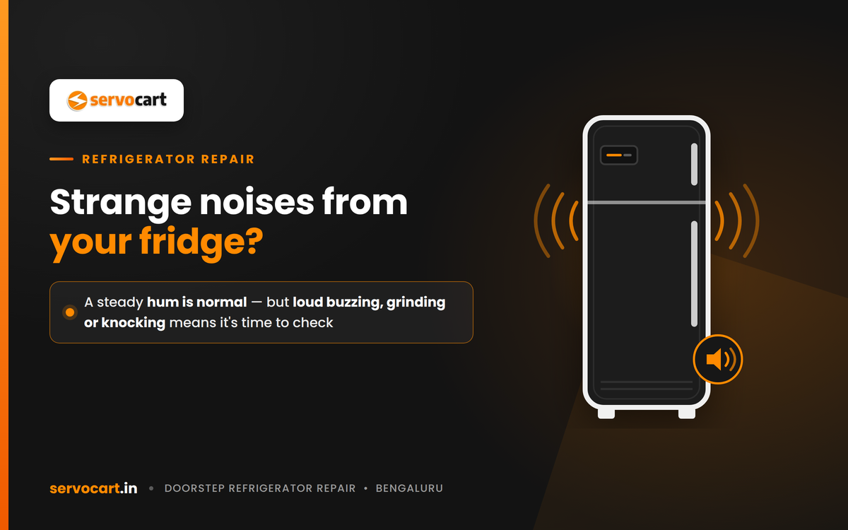 Strange Fridge Noises? A Refrigerator Repair Guide for Your Home