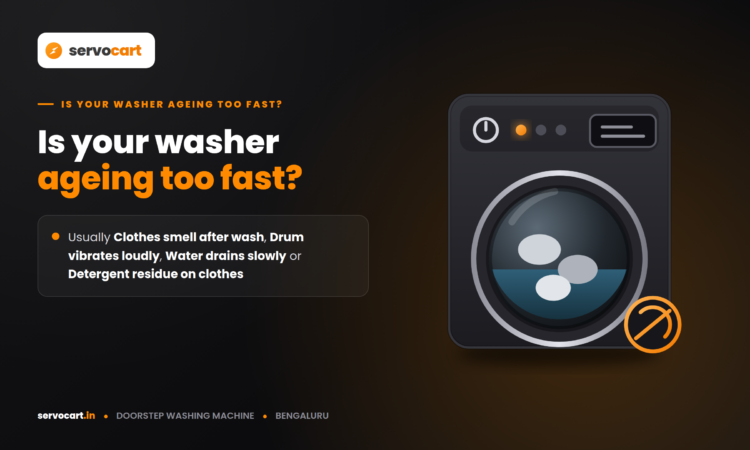 Homeowner cleaning the washing machine drum and rubber gasket as part of monthly maintenance